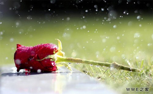 带姐字的超拽霸气女生qq网名