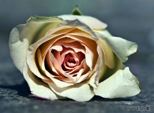 带有清字的女生网名_带清字的好听qq网名