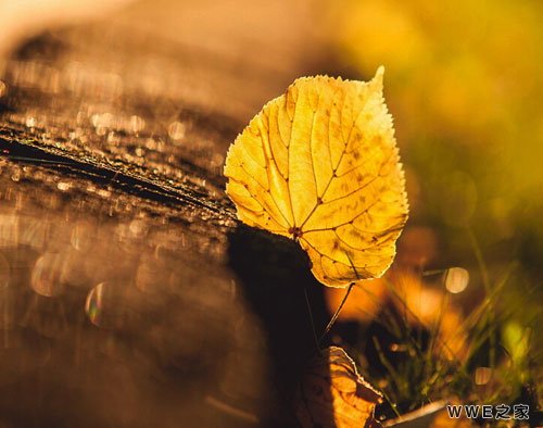 带宝字的非主流女生网名_带宝字的qq霸气网名