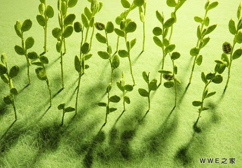 女生带甜字的可爱网名_带甜字的非主流qq网名