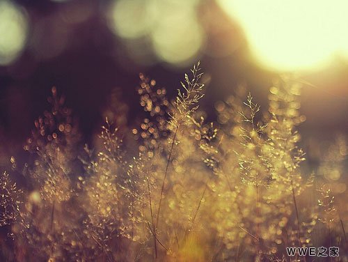 好听的男生古风网名_男生古风霸气游戏名字