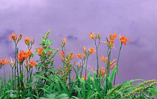 带有堂字的好听好看qq网名