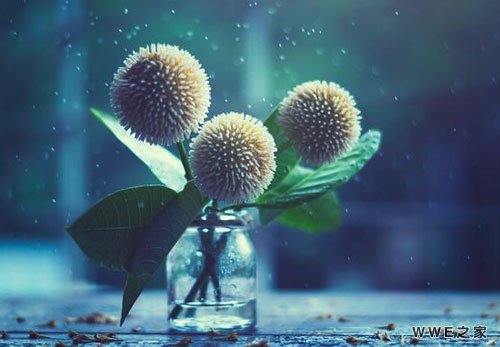 带有梓字的女生唯美古风三个字qq网名