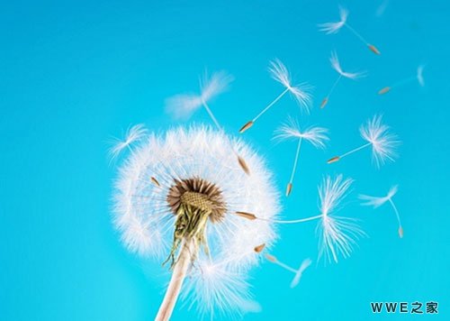 带有倾城两字的唯美伤感qq网名