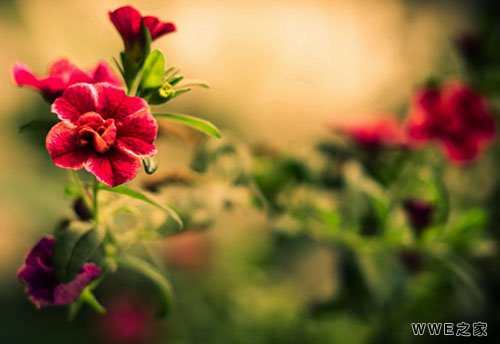 独一无二的4个字唯美伤感qq游戏网名