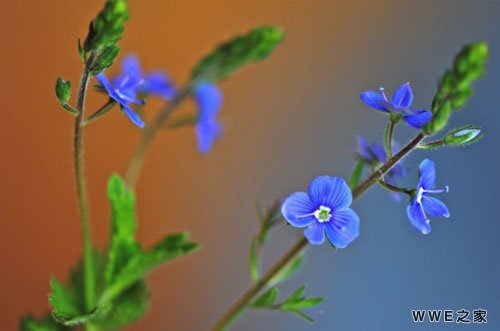 浪漫恋人的唯美qq情侣个性网名