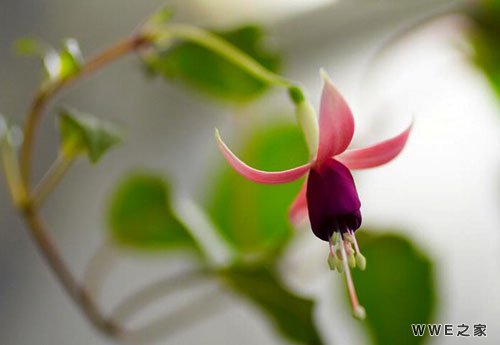 非主流好看的五个字qq网名