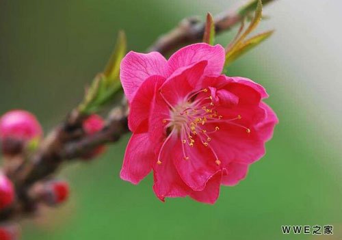 非主流带有符号的五字qq网名