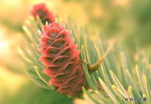 唯美超拽有范的qq情侣网名