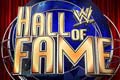 WWE2013名人堂名单，名人堂都有谁？