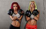 WWE女子搏击俱乐部《写真图集》