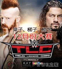<b>WWE2015年12月14日《TLC大赛》桌子梯子椅子</b>