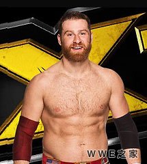 <b>WWE2015年12月24日【NXT最新赛事】</b>