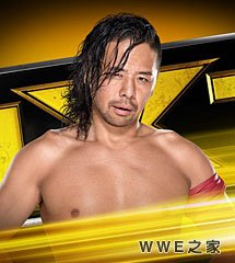 <b>WWE2016年4月14日【NXT最新赛事】</b>