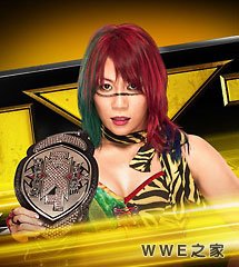 <b>WWE2016年7月28日【NXT最新赛事】</b>