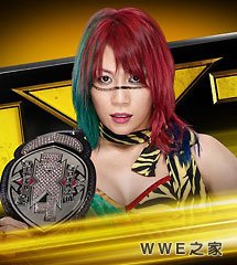 <b>WWE2016年9月8日【NXT最新赛事】</b>