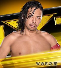 <b>WWE2017年3月9日【NXT最新赛事】</b>