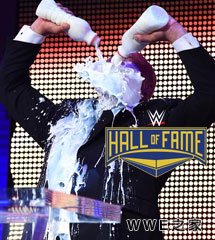 <b>WWE2016年4月1日【WWE2017名人堂】</b>