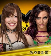 <b>WWE2017年11月30日【NXT最新赛事】</b>