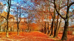 怎么样拯救婚姻？-5个正确简单实用的方法