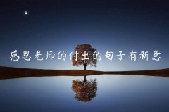 感恩老师的付出的句子有新意