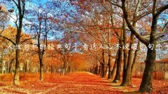 人性自私的经典句子,看透人心不说破的句子