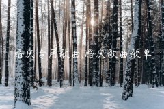 婚庆专用歌曲,婚庆歌曲歌单