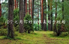 10个七月你好的唯美句子短句