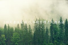 5种夫妻性爱技巧,帮助你增进夫妻感情