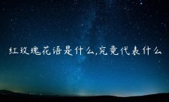 红玫瑰花语是什么,究竟代表什么