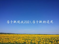 马子跃现状2021,马子跃的近况