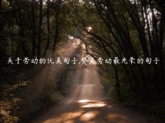 关于劳动的优美句子,赞美劳动最光荣的句子