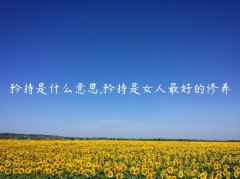 矜持是什么意思,矜持是女人最好的修养