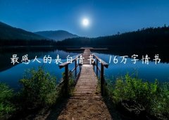 最感人的表白情书：16万字情书