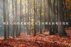 朋友之间的友谊说说,关于好朋友的句子简短