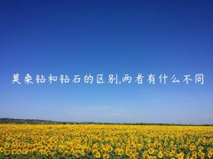 莫桑钻和钻石的区别,两者有什么不同