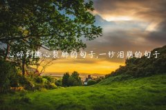 心碎到撕心裂肺的句子,一秒泪崩的句子