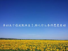 孕妇五个症状就快生了,胎儿什么条件愿意发动