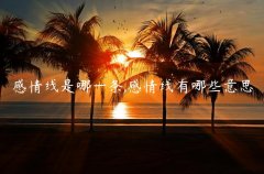 感情线是哪一条,感情线有哪些意思