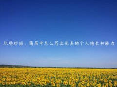 职场妙招：简历中怎么写出完美的个人特长和能力