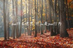 pua什么意思,什么是pua行为