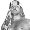 The Sheik