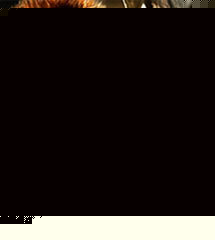 <b>wwe2013极限规则-Extreme Rules2013年5月20日</b>