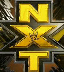 <b>WWE2013年10月17日【NXT最新赛事】</b>