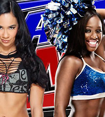 <b>WWE2013年11月21日【ME最新赛事】</b>