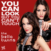 The Bella Twins出场音乐：You Can Look