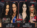 WWE女子撕衣-内衣肉搏赛：AJ女郎&布里贝拉vs佩姬&尼基贝拉-RAW摔角2014年