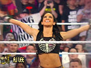 WWE摔美奖2014颁奖典礼入围名单！年度最佳Diva女子大奖(2014.12.09) - 狂野角斗士