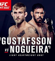 <b>UFC2016年11月20日【Fight Night 100】</b>