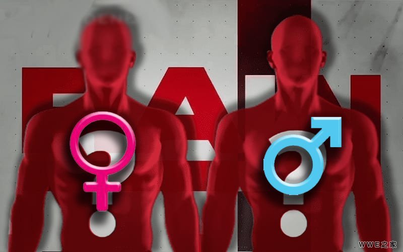 WWE为了提升收视率，有意上演男女单打对决！